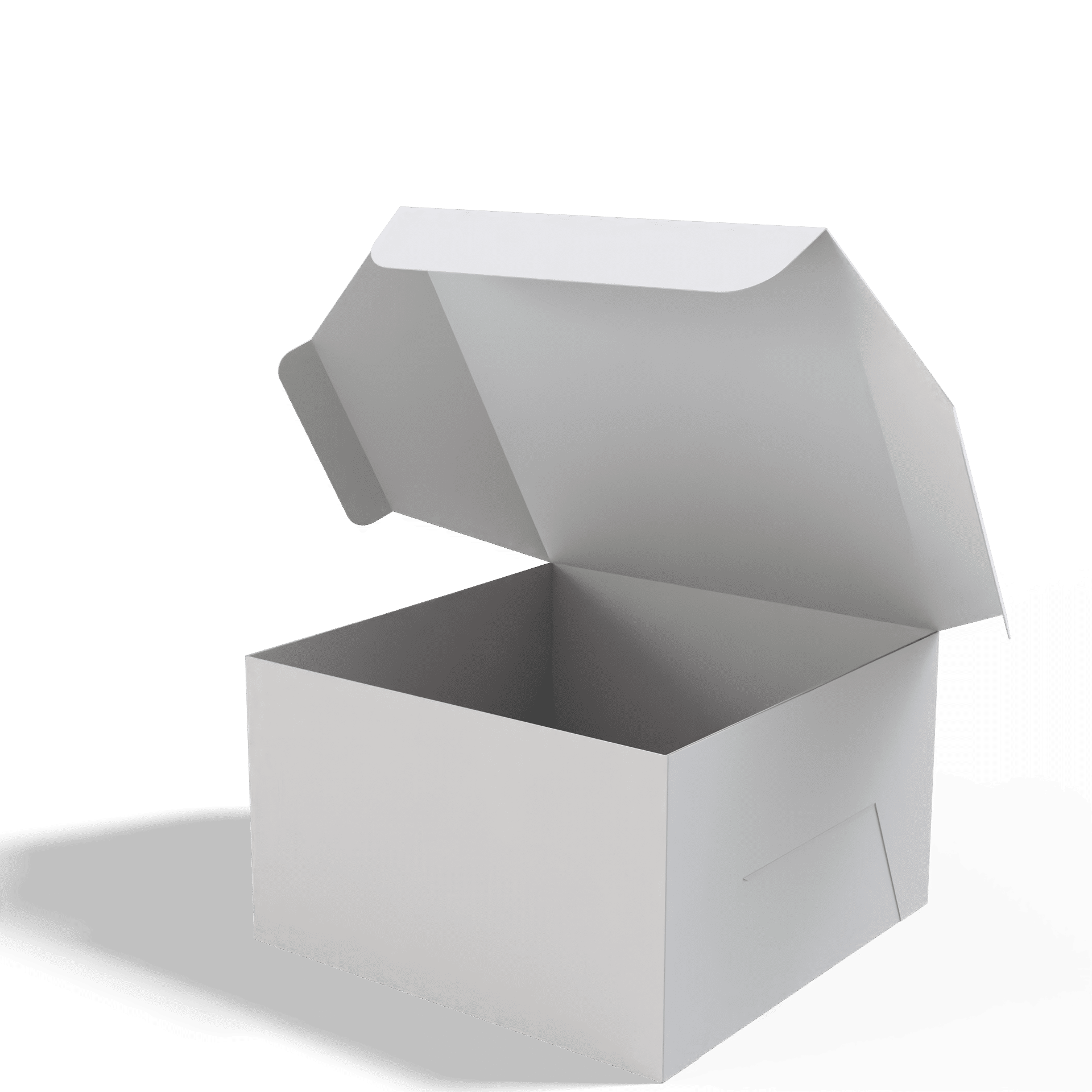 Render_Mockup_1920_1920_2026-02-04 (16)