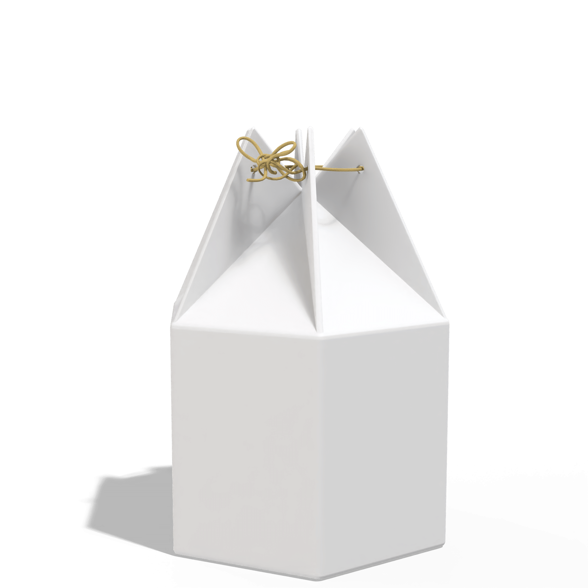 Render_Mockup_1920_1920_2026-02-07 (37)