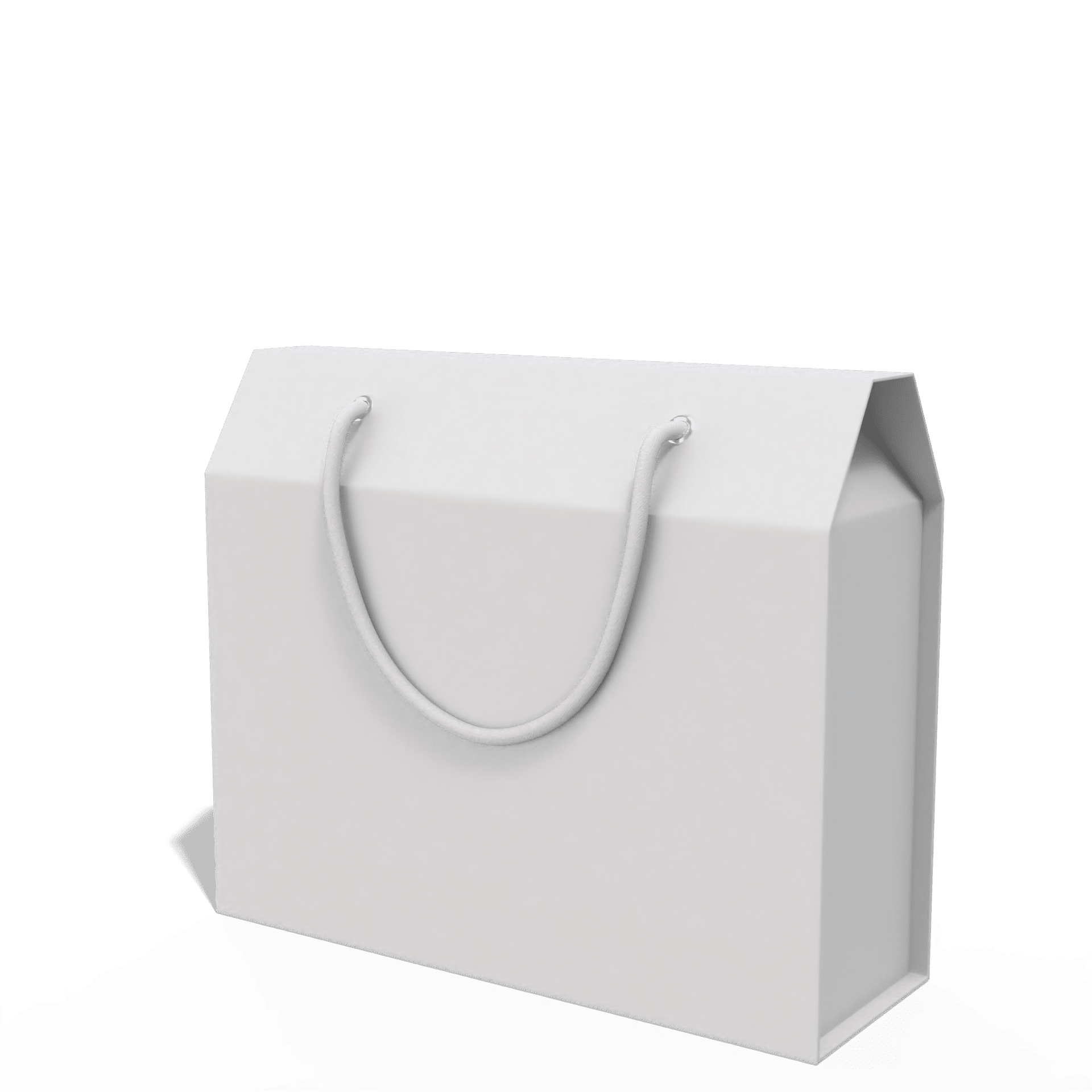 Render_Mockup_1920_1920_2026-02-08 (38)